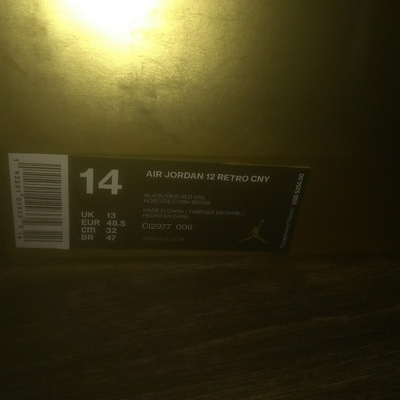 Jordan Chinese 12s (s 14)
